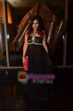 Nisha Jamwal at JW Marriott dinner in Spices on 6th May 2011 (2).JPG